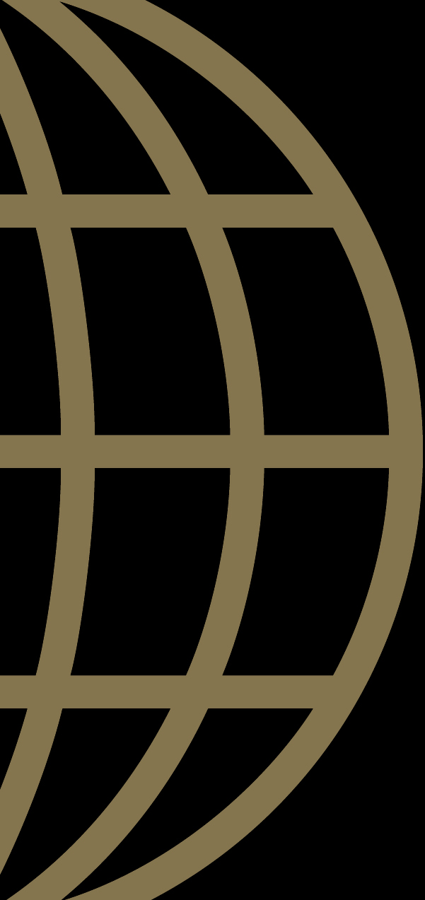 BPI Development Group LLC